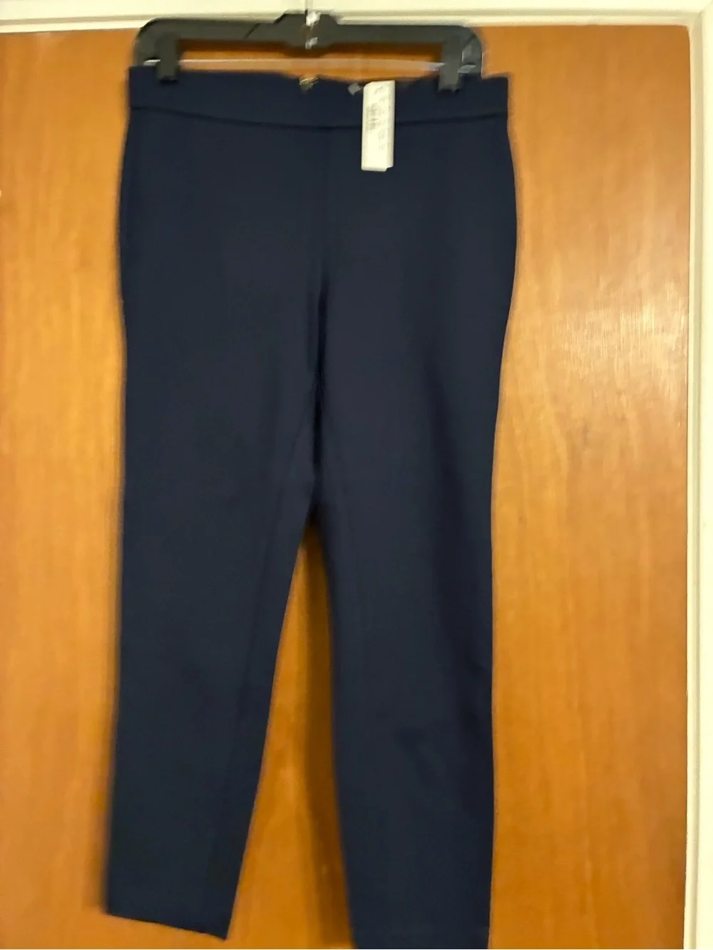 NWT J. Crew petite large navy “Pixie” pants